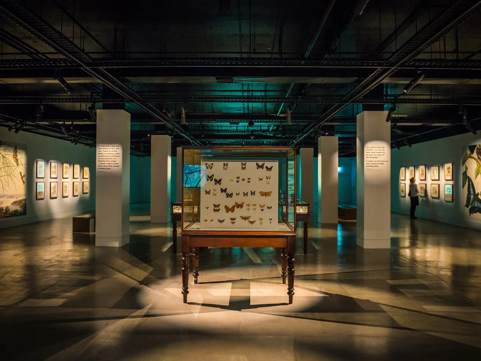 Museum Space with Wide Span Shelving
