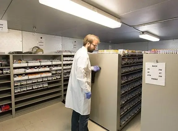 Cold Storage Solutions