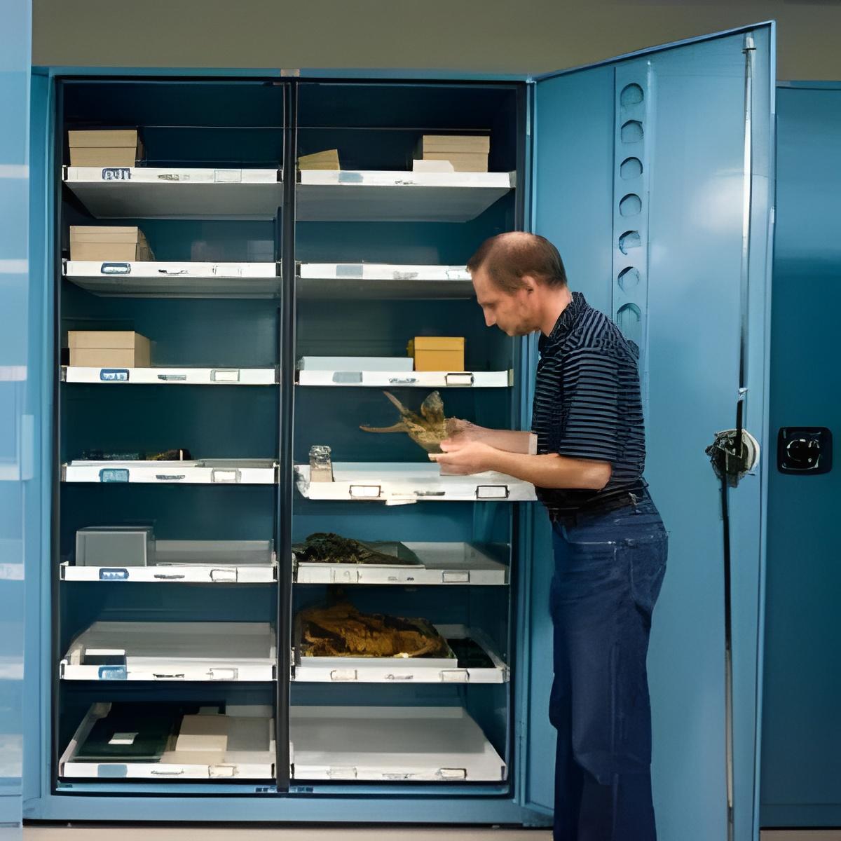 Herbarium Collections