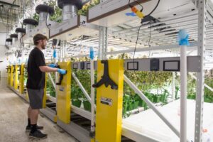 Bradford Systems Helps Farmers Keep Pace with Market Trends