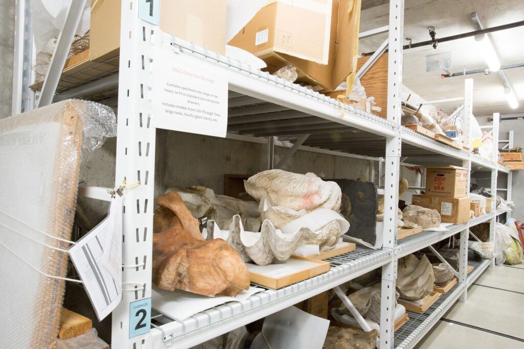 Smart Investment for Industrial Storage