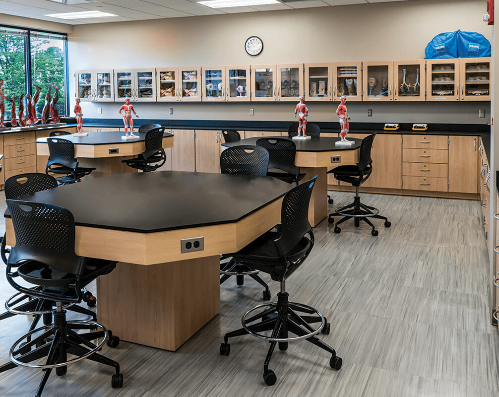 Lab Casework