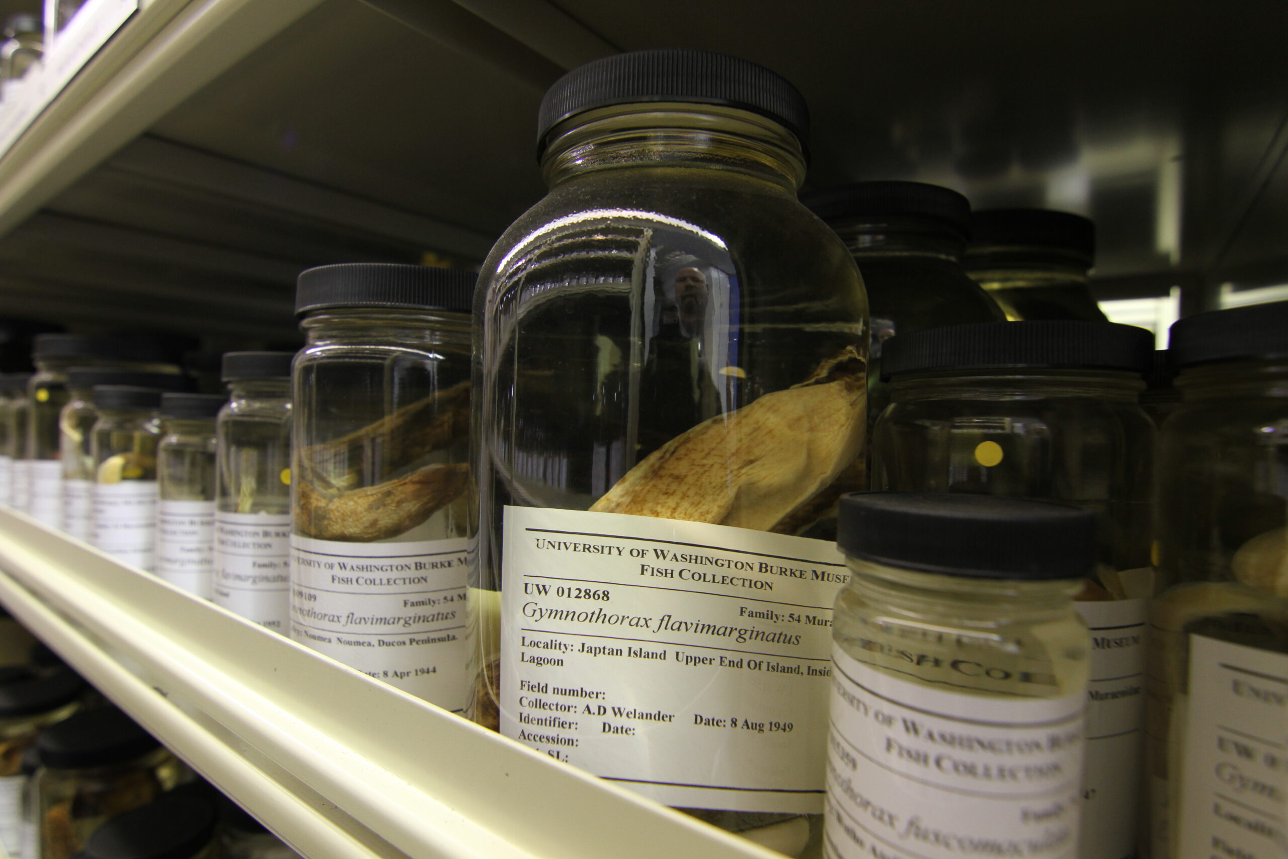 Museum storage