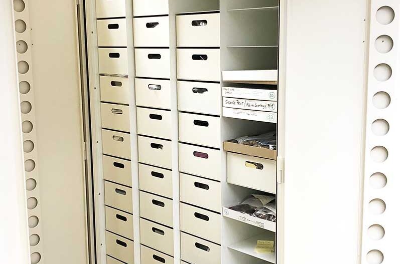 Special Collections